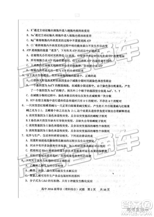 2019四川省仁壽縣高三11月份零診測(cè)試?yán)砭C試題及參考答案