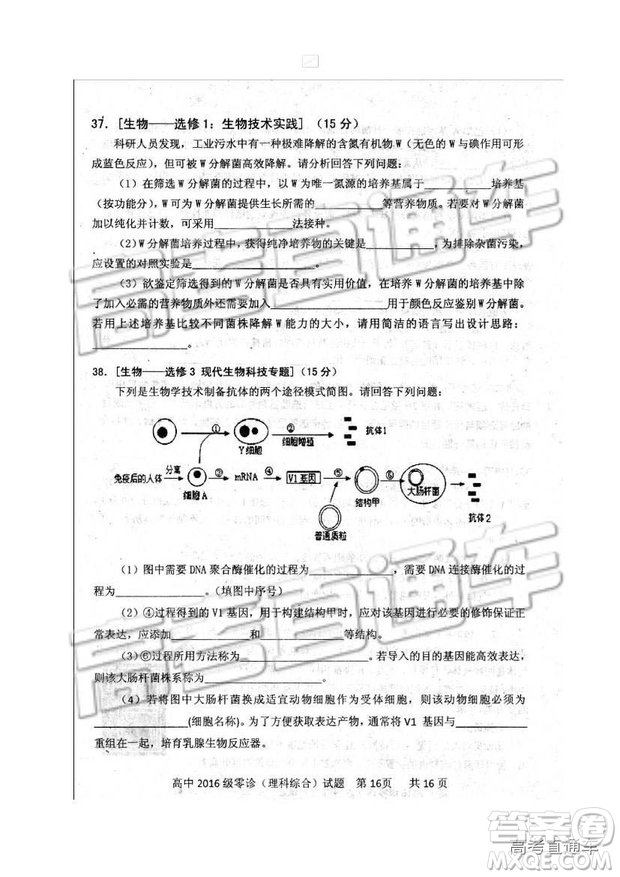 2019四川省仁壽縣高三11月份零診測(cè)試?yán)砭C試題及參考答案