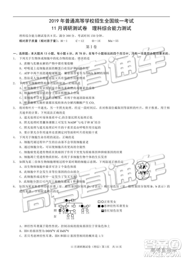 2019重慶市普通高等學校招生全國統(tǒng)一考試11月調(diào)研測試理綜試題及參考答案