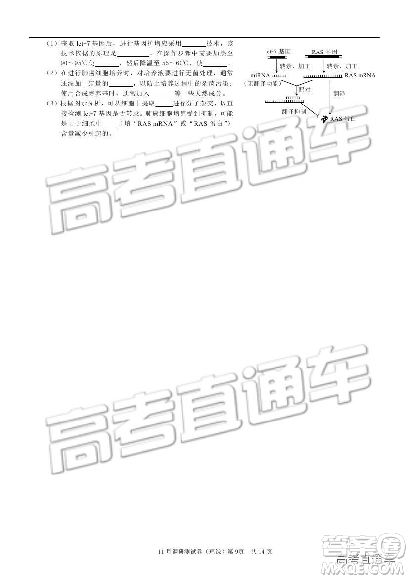 2019重慶市普通高等學校招生全國統(tǒng)一考試11月調(diào)研測試理綜試題及參考答案