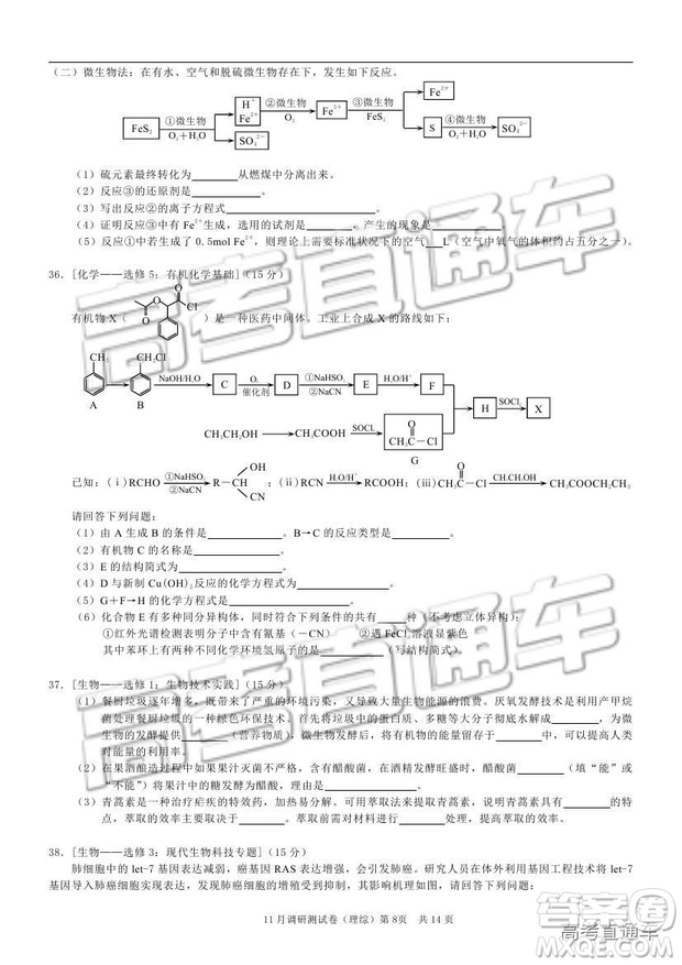 2019重慶市普通高等學校招生全國統(tǒng)一考試11月調(diào)研測試理綜試題及參考答案