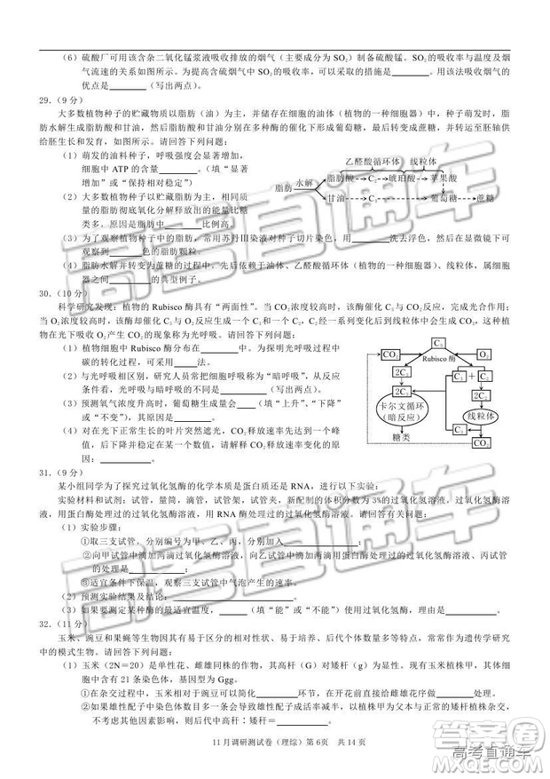 2019重慶市普通高等學校招生全國統(tǒng)一考試11月調(diào)研測試理綜試題及參考答案