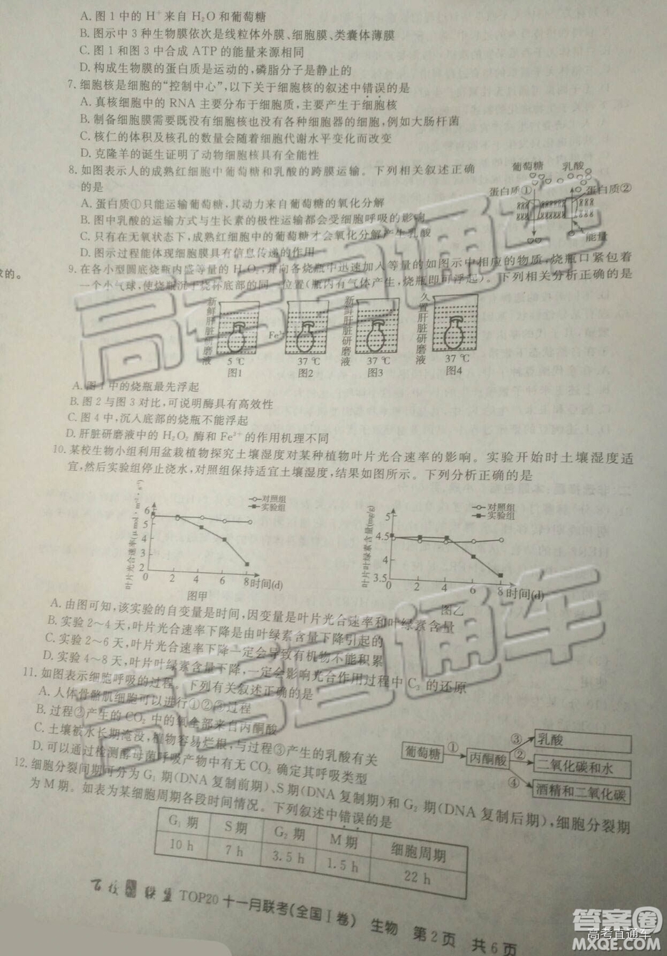 2019百校聯(lián)盟TOP20十一月聯(lián)考高三全國Ⅰ卷生物試題及參考答案