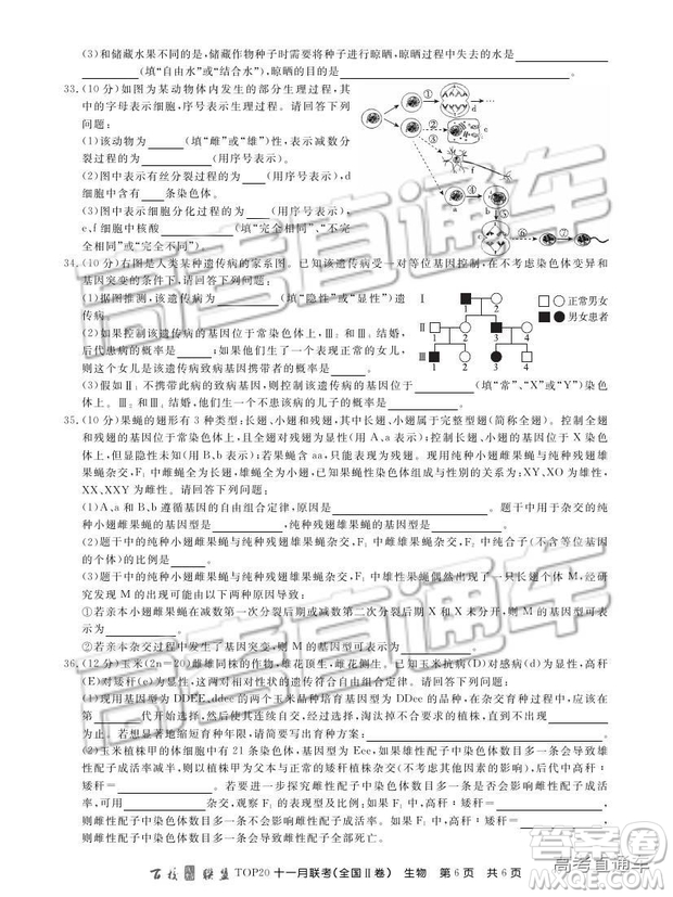 百校聯(lián)盟2019屆TOP20十一月高三聯(lián)考全國Ⅱ卷生物試題及參考答案