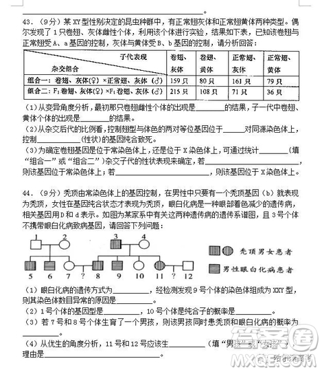 哈三中2018高三期中考試?yán)砜凭C合試題答案