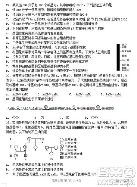 哈三中2018高三期中考試?yán)砜凭C合試題答案