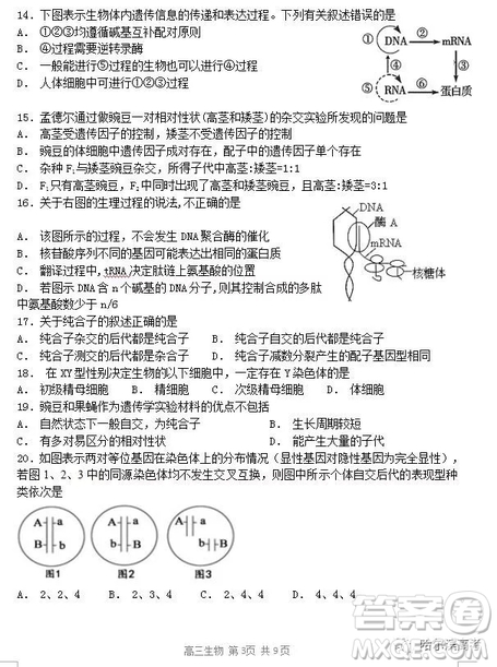 哈三中2018高三期中考試?yán)砜凭C合試題答案