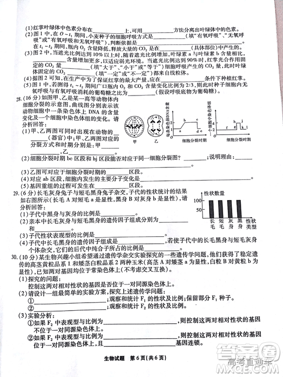 江淮十校2019高三第二次聯(lián)考理科綜合試題及參考答案