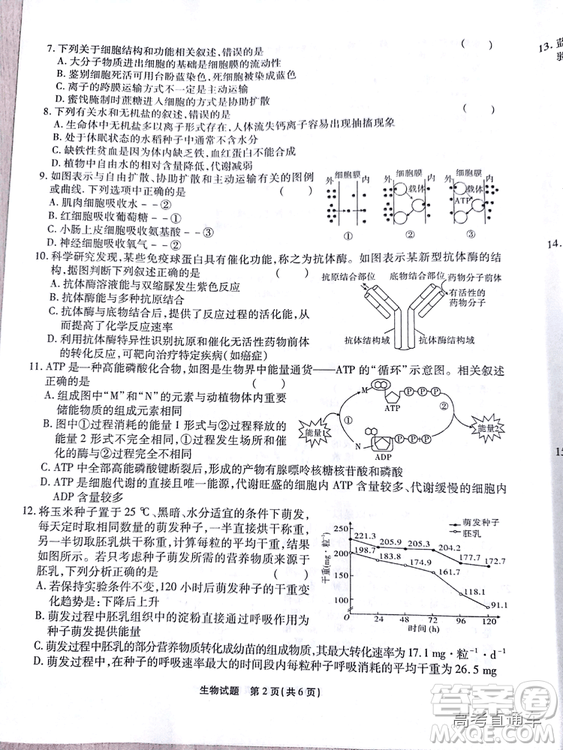 江淮十校2019高三第二次聯(lián)考理科綜合試題及參考答案