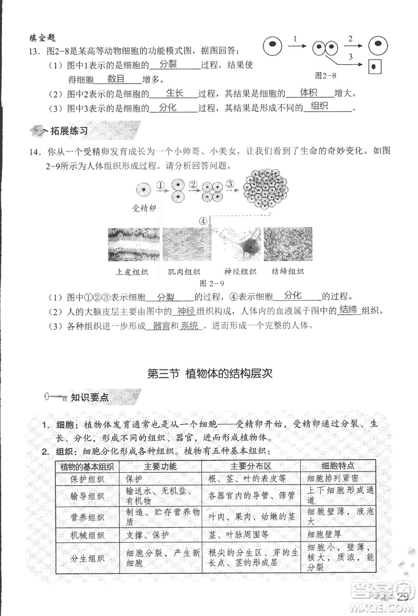 2018秋知識與能力訓(xùn)練生物學(xué)七年級上冊人教版答案