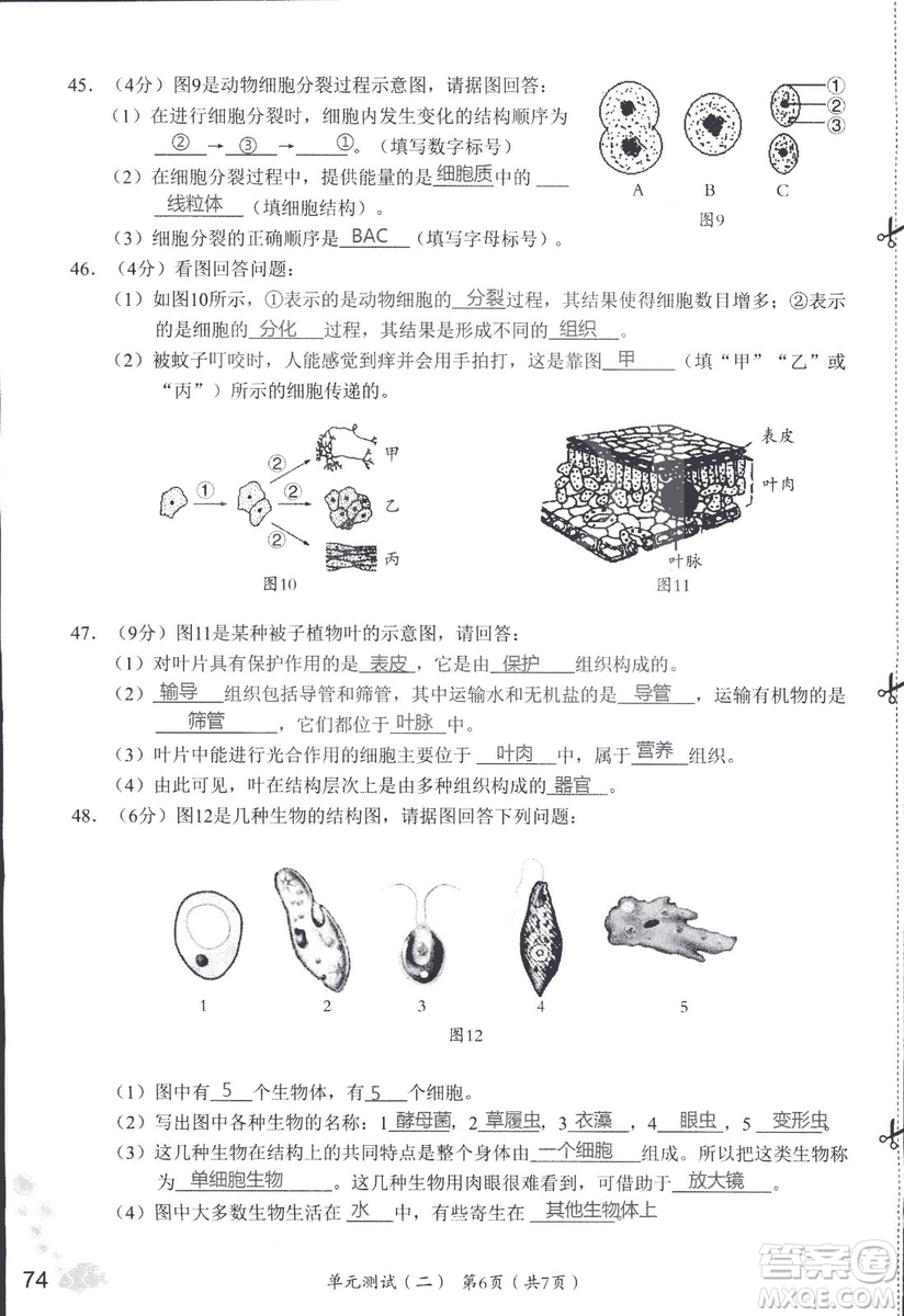 2018秋知識與能力訓(xùn)練生物學(xué)七年級上冊人教版答案