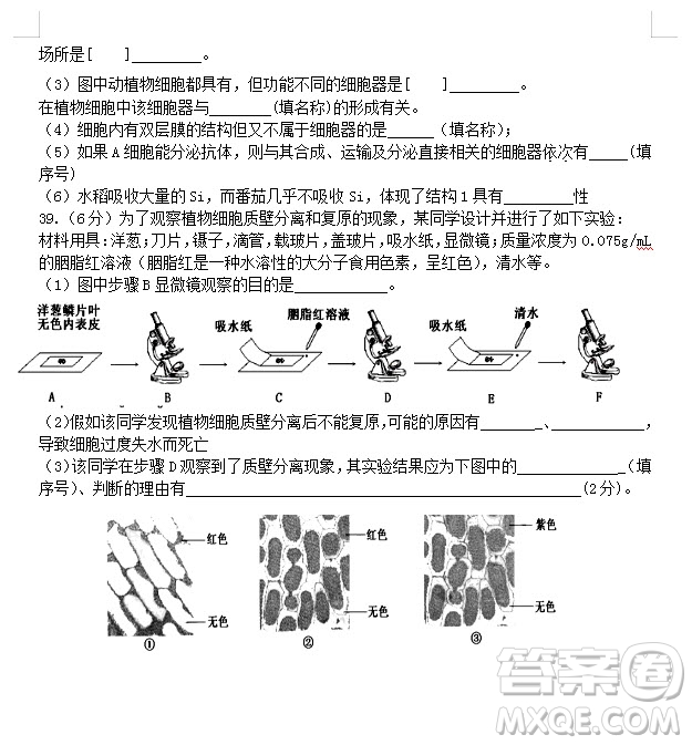 2018-2019學(xué)年江蘇省江陰四校高一上學(xué)期期中考試生物試題答案