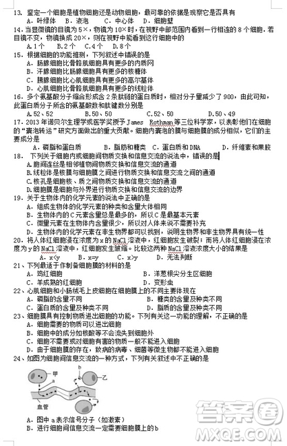 2018-2019學(xué)年江蘇省江陰四校高一上學(xué)期期中考試生物試題答案