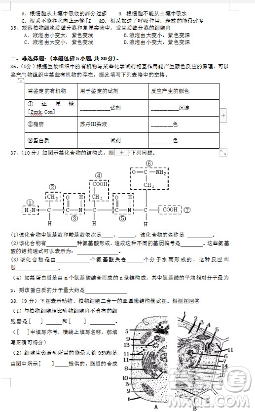 2018-2019學(xué)年江蘇省江陰四校高一上學(xué)期期中考試生物試題答案