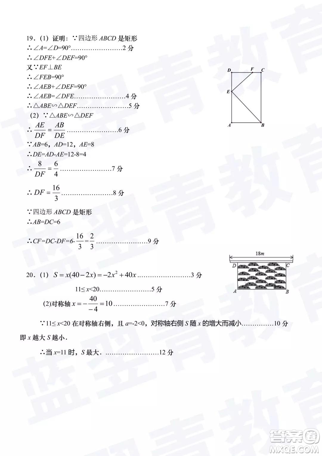 2018—2019學(xué)年度名校聯(lián)盟階段性學(xué)習(xí)質(zhì)量測試題九年級數(shù)學(xué)試卷及參考答案