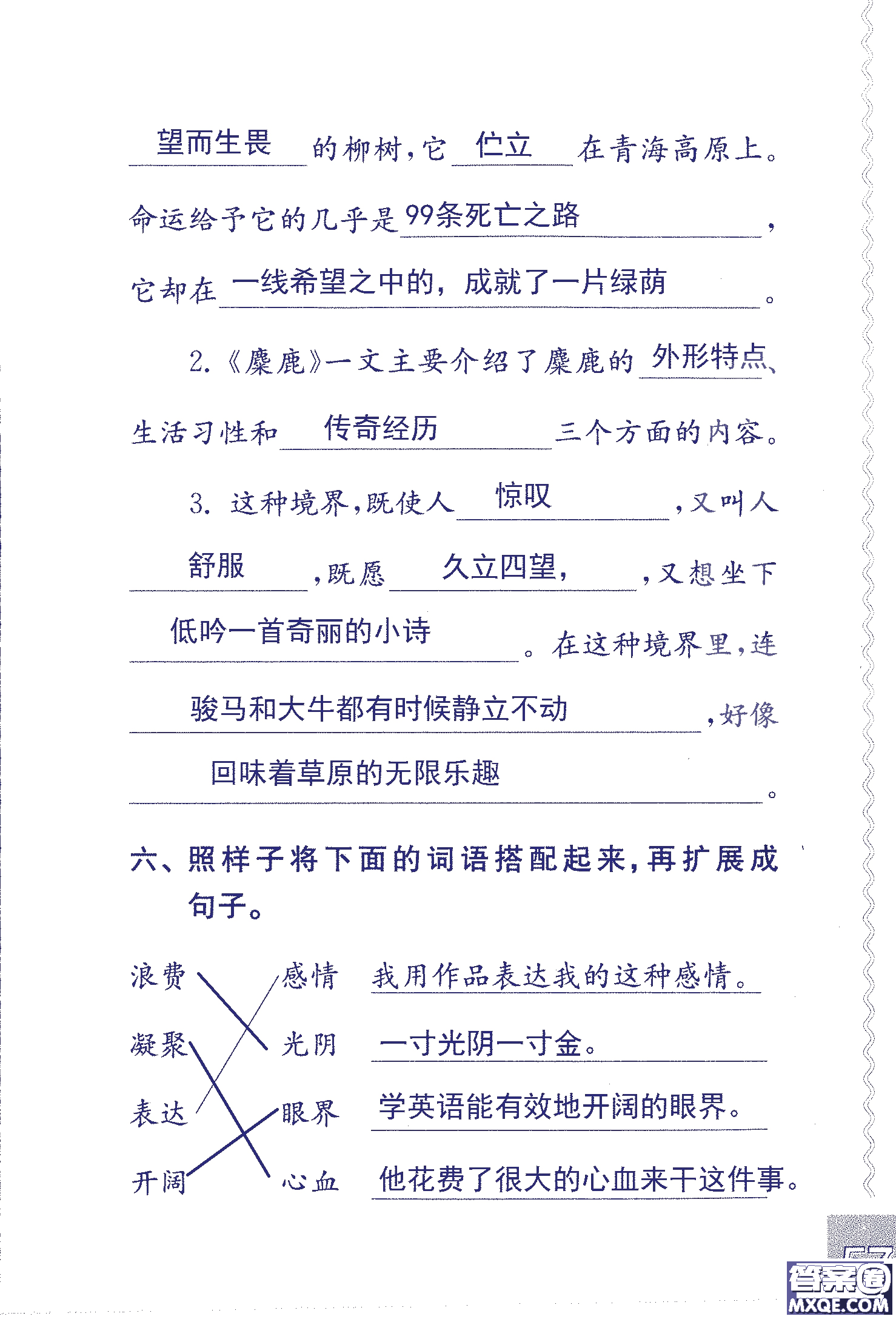 2018年鳳凰教育練習(xí)與測(cè)試六年級(jí)上冊(cè)語(yǔ)文江蘇版參考答案