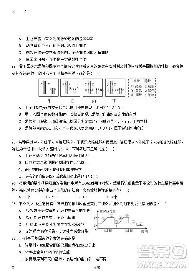 2019屆福建省泉州市泉港一中南安市國(guó)光中學(xué)高三上學(xué)期期中聯(lián)考試題生物答案