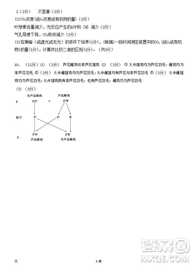 2019屆福建省泉州市泉港一中南安市國(guó)光中學(xué)高三上學(xué)期期中聯(lián)考試題生物答案