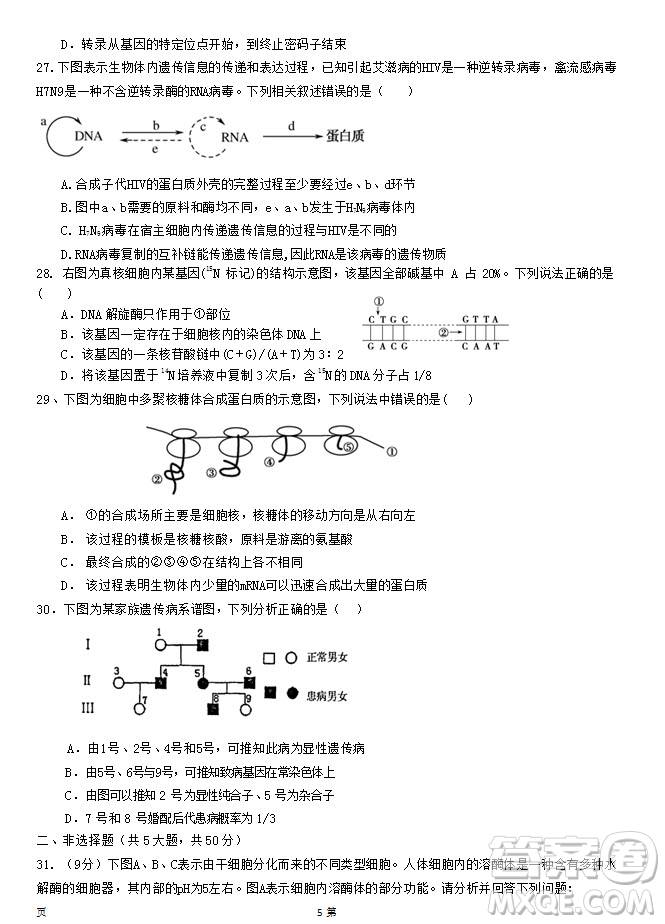 2019屆福建省泉州市泉港一中南安市國(guó)光中學(xué)高三上學(xué)期期中聯(lián)考試題生物答案