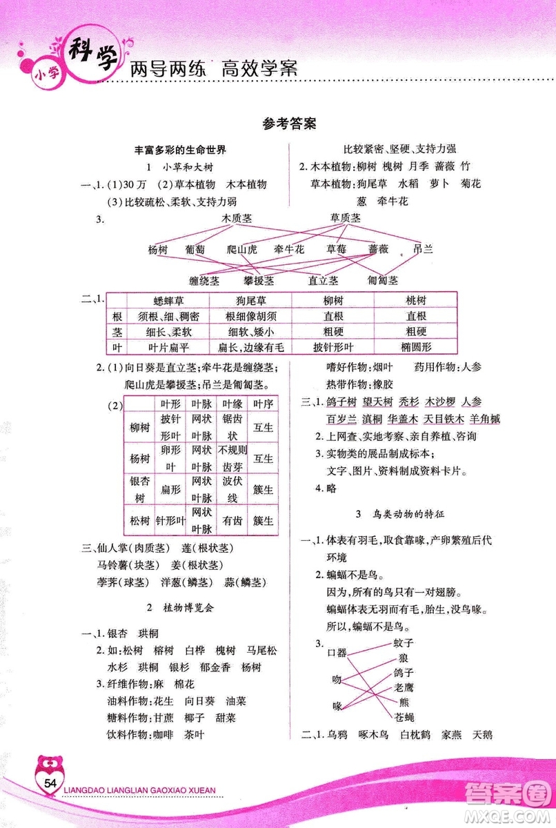 河北人民版2018年新課標兩導(dǎo)兩練高效學(xué)案六年級上冊科學(xué)答案