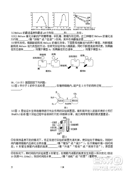 2019屆陜西省西安中學高三上學期期中考試生物試題答案