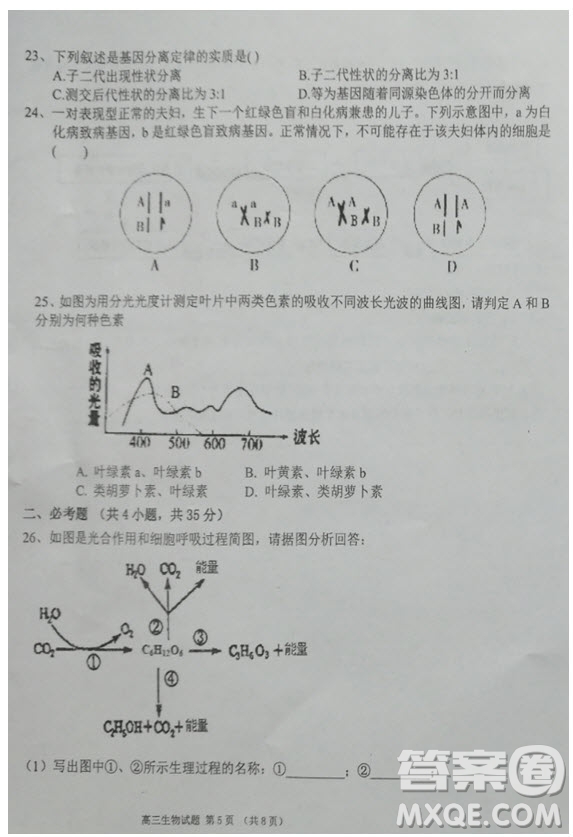 海南省儋州市2019屆高三上學(xué)期第一次統(tǒng)測(cè)生物試題及答案