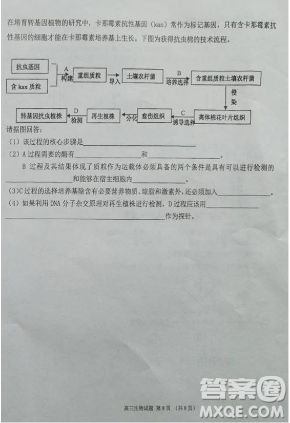 海南省儋州市2019屆高三上學(xué)期第一次統(tǒng)測(cè)生物試題及答案