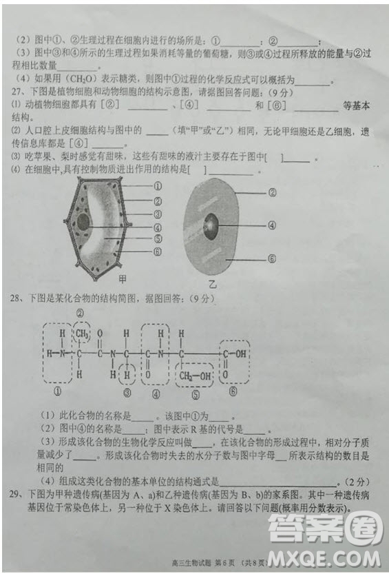 海南省儋州市2019屆高三上學(xué)期第一次統(tǒng)測(cè)生物試題及答案