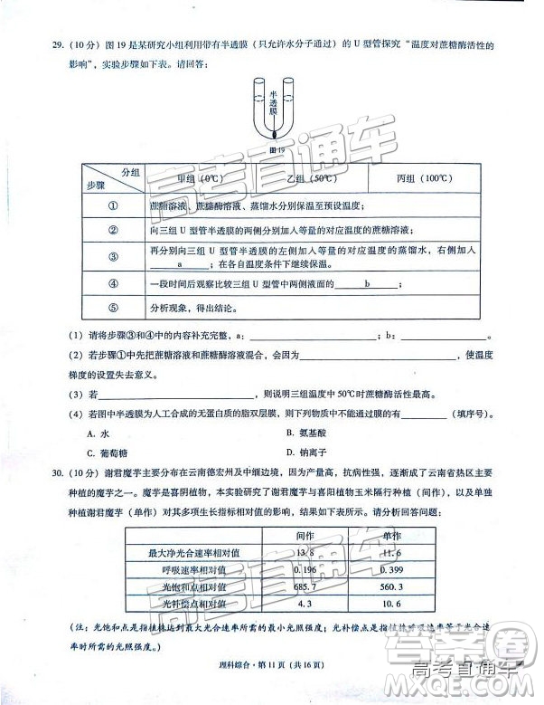 2019云師大附中高三第四次月考理綜試題及參考答案