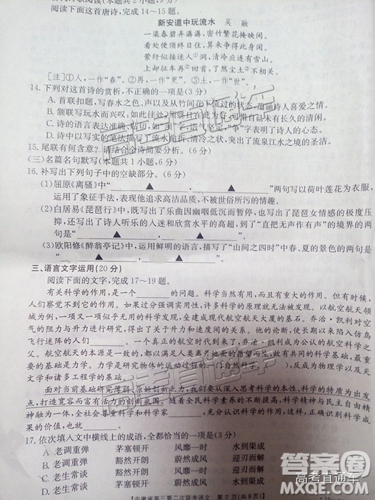 2019安徽第二次金太陽(yáng)聯(lián)考G20聯(lián)考高三聯(lián)考語(yǔ)文試題及參考答案