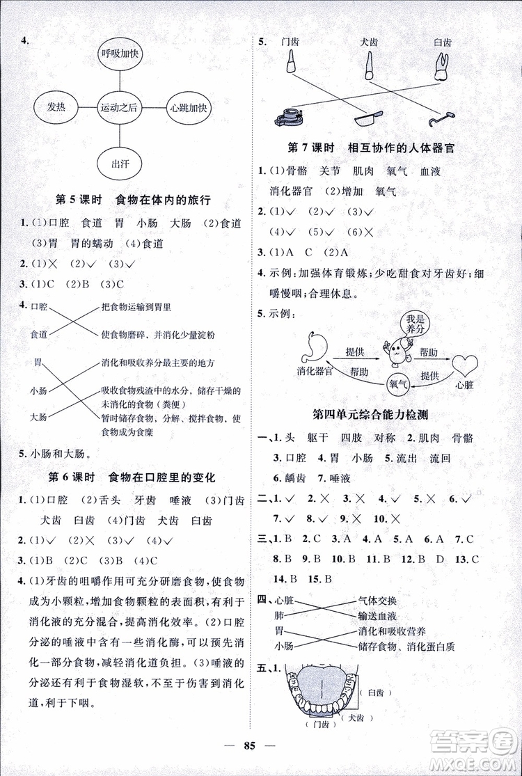 教科版2018秋陽光同學(xué)課時優(yōu)化作業(yè)科學(xué)四年級上冊科學(xué)JK參考答案