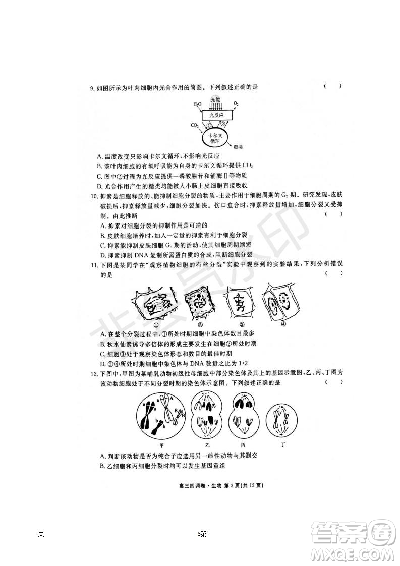 2019屆河北省衡水中學(xué)高三上學(xué)期四調(diào)考試生物試題及答案