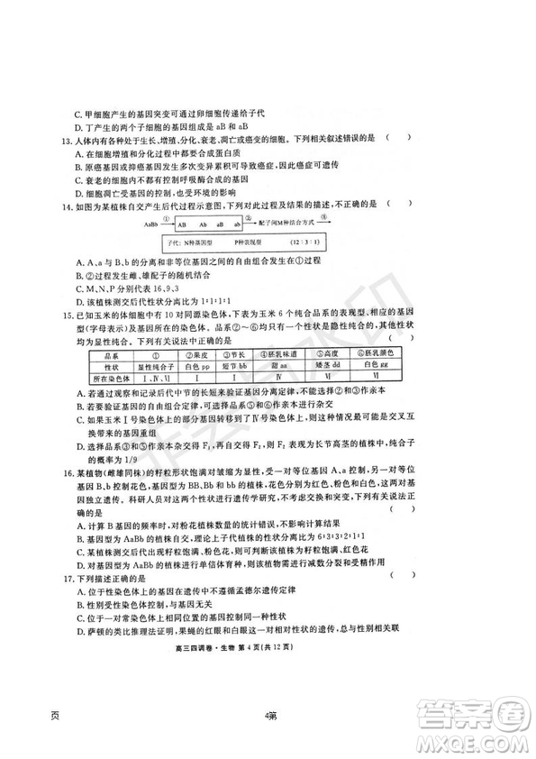 2019屆河北省衡水中學(xué)高三上學(xué)期四調(diào)考試生物試題及答案