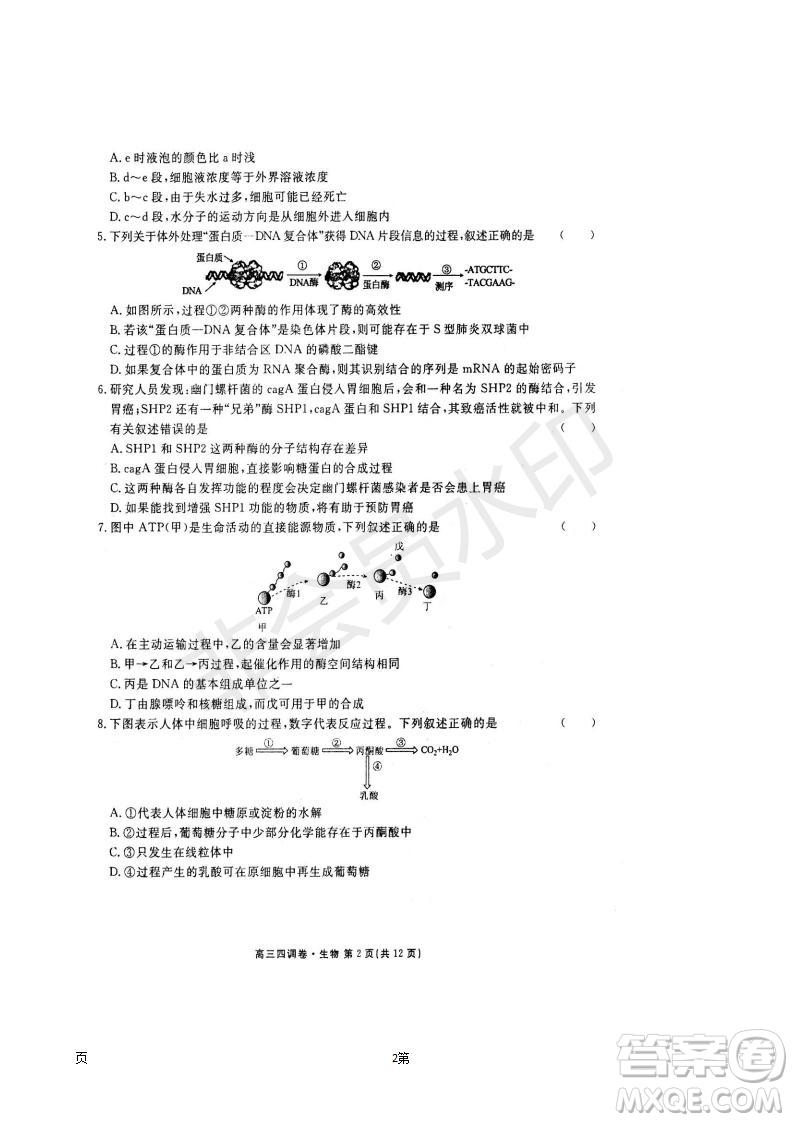 2019屆河北省衡水中學(xué)高三上學(xué)期四調(diào)考試生物試題及答案