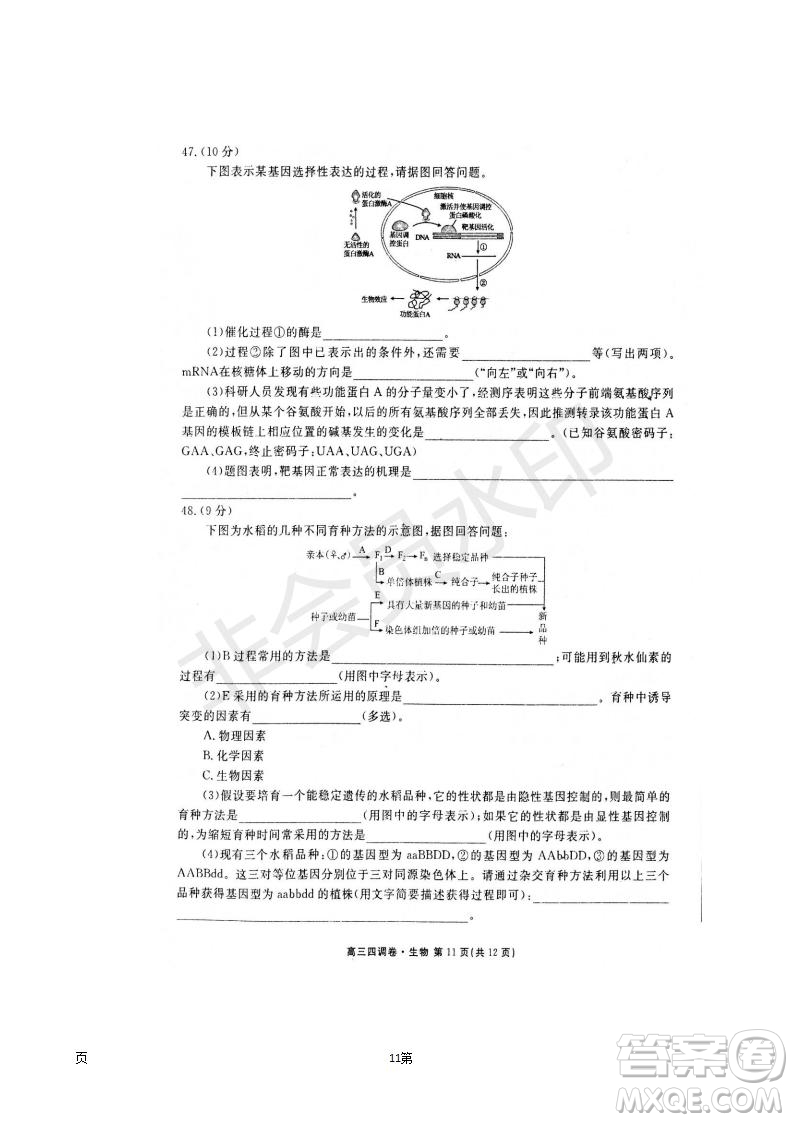 2019屆河北省衡水中學(xué)高三上學(xué)期四調(diào)考試生物試題及答案