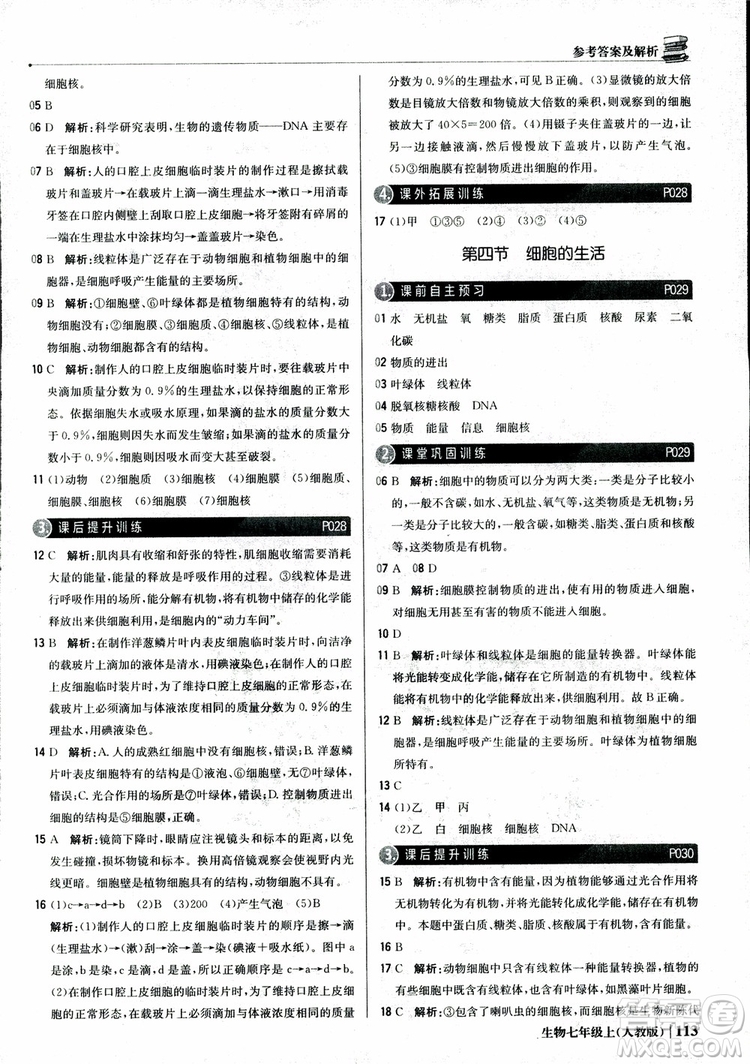 9787552240603人教版銀版1+1輕巧奪冠優(yōu)化訓(xùn)練七年級上冊生物2018參考答案