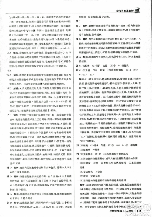 9787552240603人教版銀版1+1輕巧奪冠優(yōu)化訓(xùn)練七年級上冊生物2018參考答案