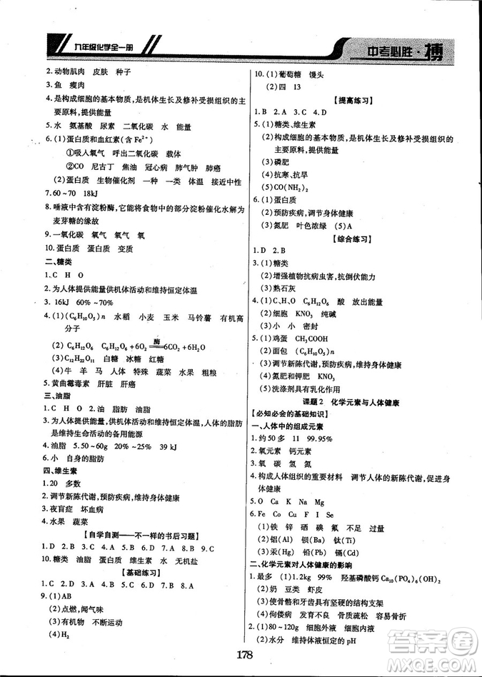 2018年中考必勝搏九年級化學RJY版全一冊參考答案