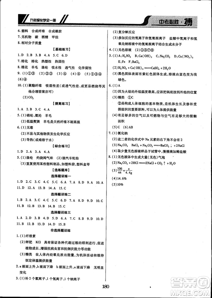 2018年中考必勝搏九年級化學RJY版全一冊參考答案