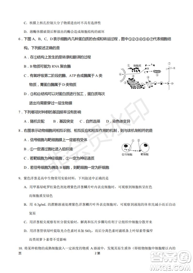 2019屆福建省廈門外國語學校高三11月月考生物試題及答案