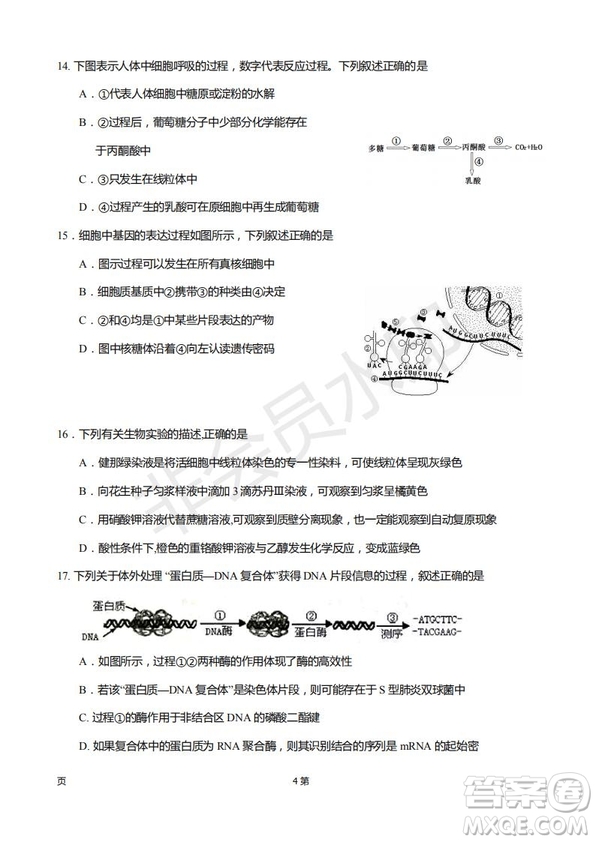 2019屆福建省廈門外國語學校高三11月月考生物試題及答案