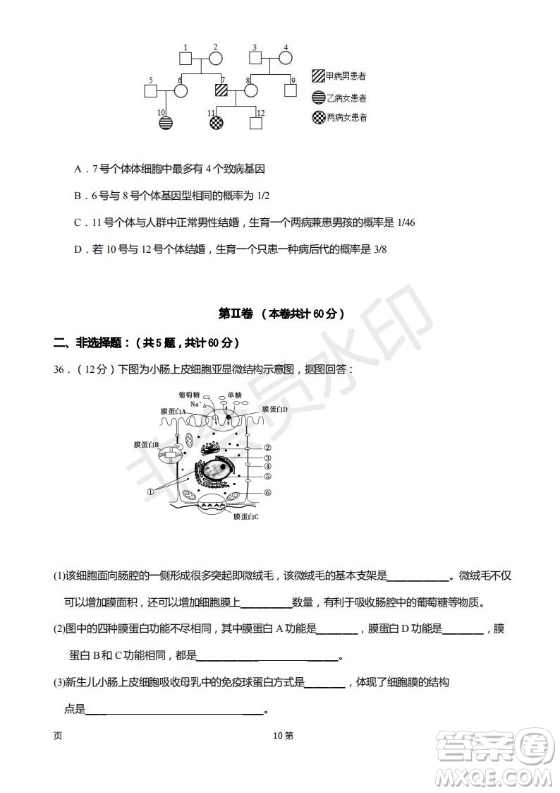 2019屆福建省廈門外國語學校高三11月月考生物試題及答案