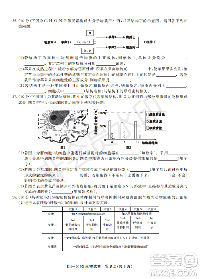 安徽皖東名校聯(lián)盟2019年高三上學(xué)期第二次聯(lián)考生物試題及答案解析