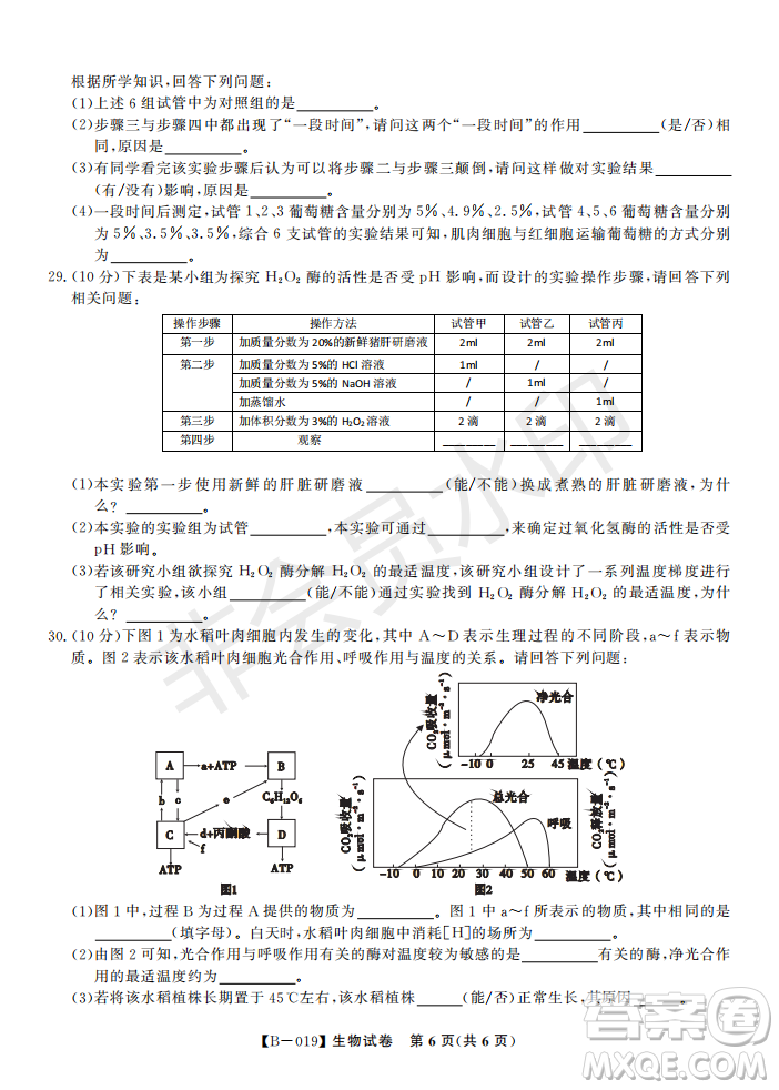 安徽皖東名校聯(lián)盟2019年高三上學(xué)期第二次聯(lián)考生物試題及答案解析