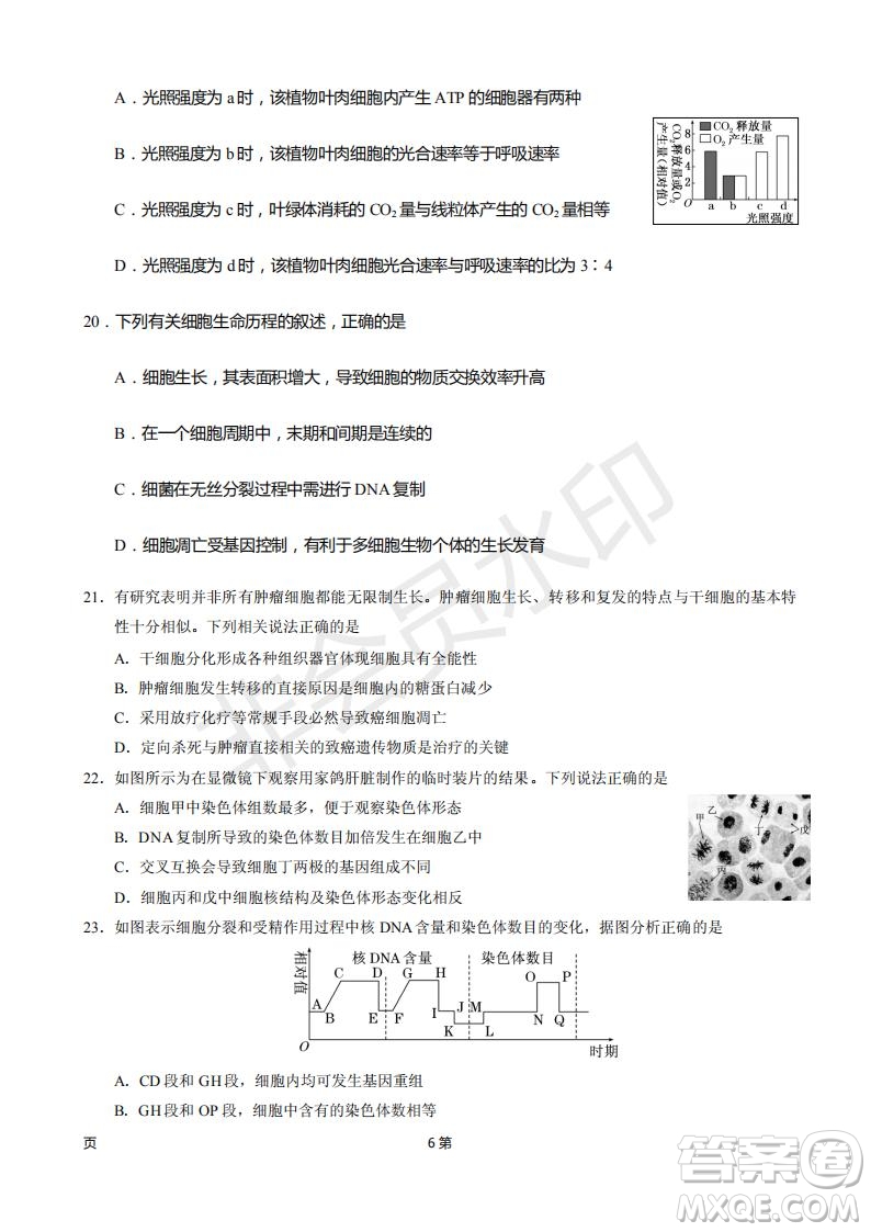 2019屆甘肅省靜寧縣第一中學高三上學期第三次模擬考試生物試題及答案