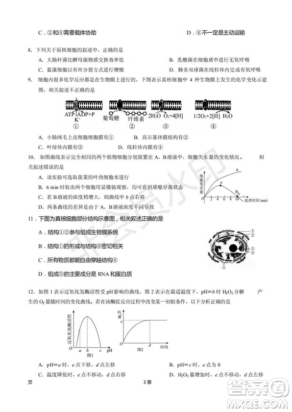 2019屆甘肅省靜寧縣第一中學高三上學期第三次模擬考試生物試題及答案