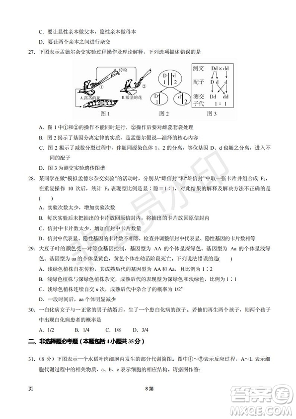 2019屆甘肅省靜寧縣第一中學高三上學期第三次模擬考試生物試題及答案