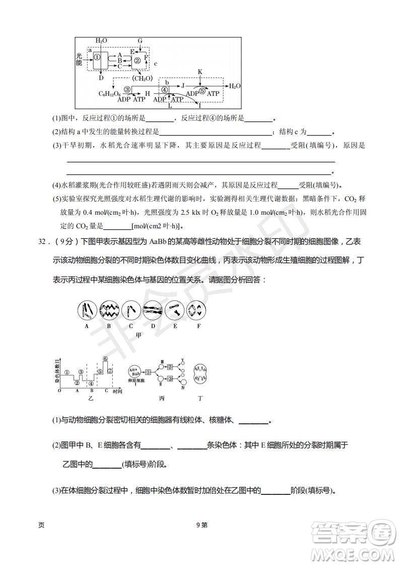 2019屆甘肅省靜寧縣第一中學高三上學期第三次模擬考試生物試題及答案