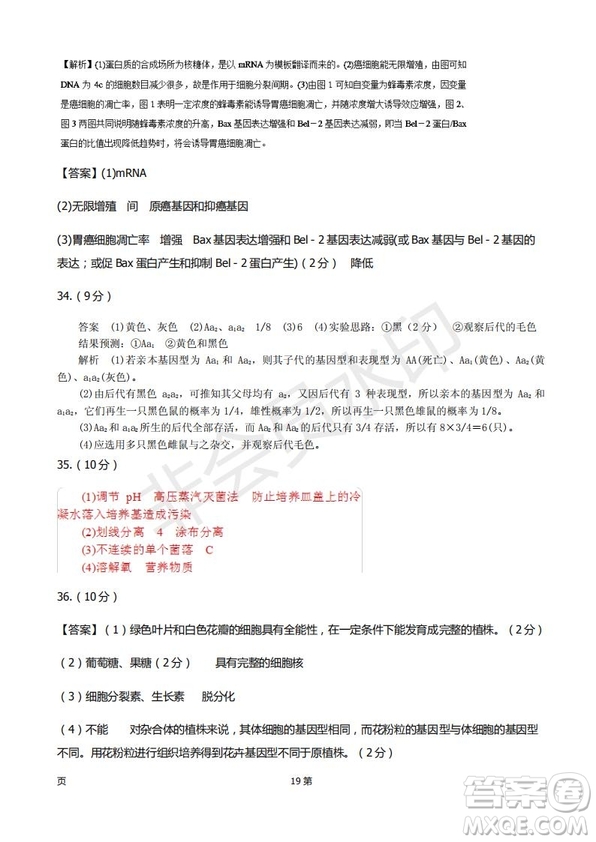 2019屆甘肅省靜寧縣第一中學高三上學期第三次模擬考試生物試題及答案