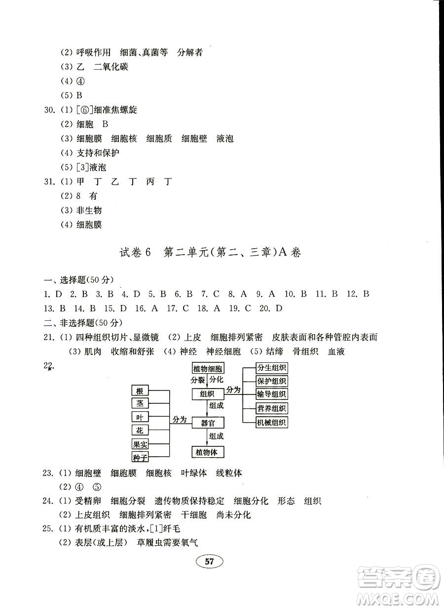 2018秋金鑰匙試卷五四制魯科版六年級上冊生物學(xué)參考答案